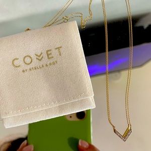 Stella & Dot Covet Necklace